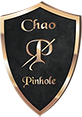 emblem for chao pinhole surgical technique